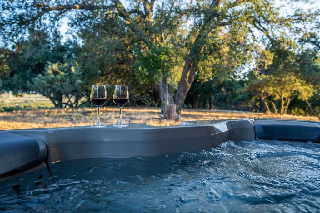Country Cowboy Hot Tub Hideaway On 20 Acres Villa Borrego Springs Dış mekan fotoğraf