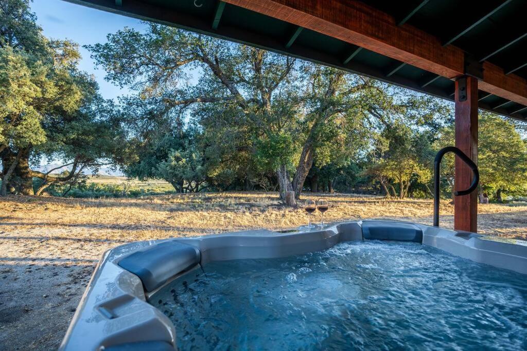Country Cowboy Hot Tub Hideaway On 20 Acres Villa Borrego Springs Dış mekan fotoğraf